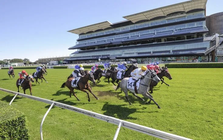 Randwick Tip Sheet & Staking Plan: Saturday 27th February Image