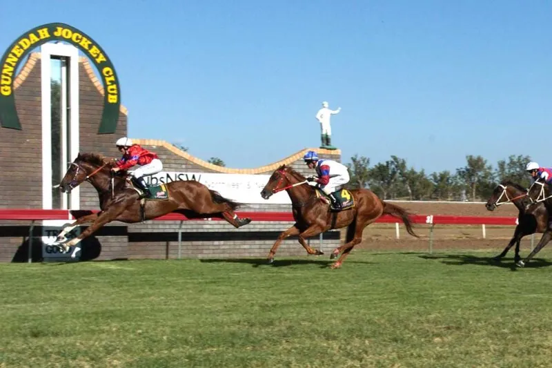 FREE: NSW Provincial & Country Service –  Gunnedah 16/8 Image
