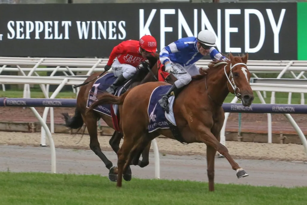 Flemington Tip Sheet & Staking Plan: Friday 1st January Image
