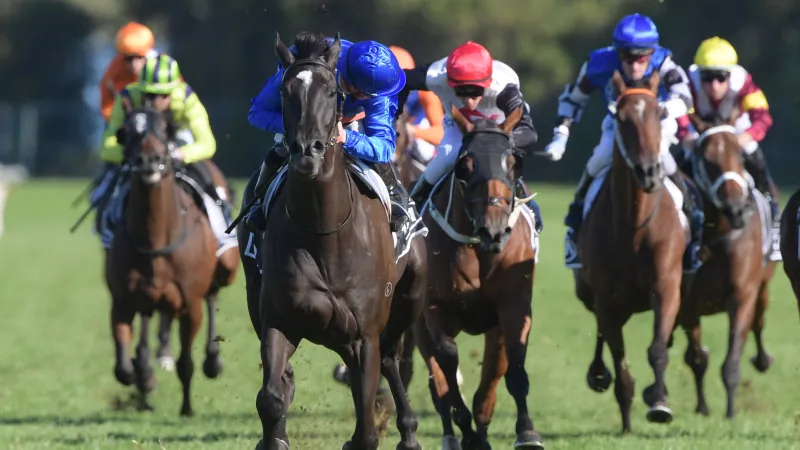 Warwick Farm Tip Sheet & Staking Plan: Wednesday 6th January Image