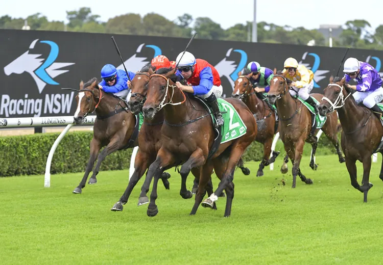 Randwick Tip Sheet & Staking Plan: Saturday 23rd October Image