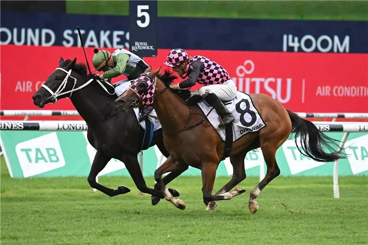 Randwick Preview: Handicap Has Waller Hinged For The Epsom Image