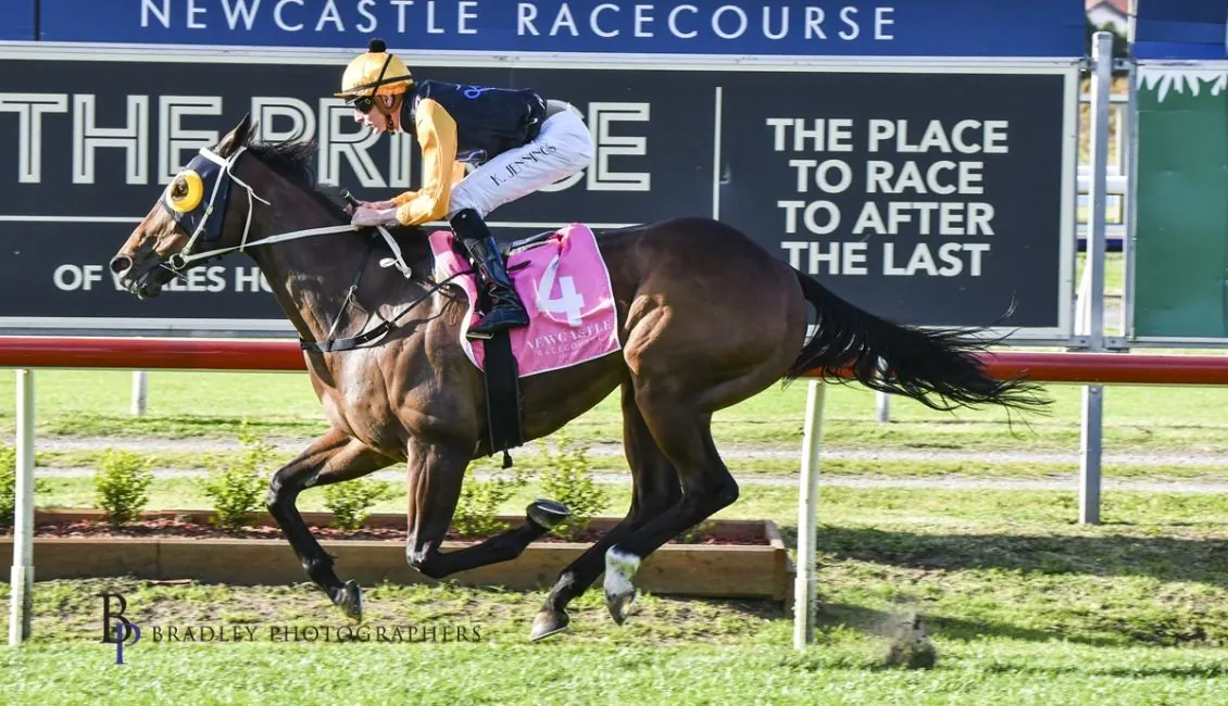 FREE: Newcastle Tip Sheet & Staking Plan: Saturday 12th November Image