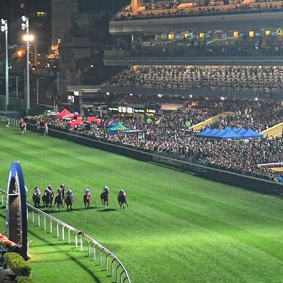 FREE: Sha Tin 25th of June – Our Picks Image