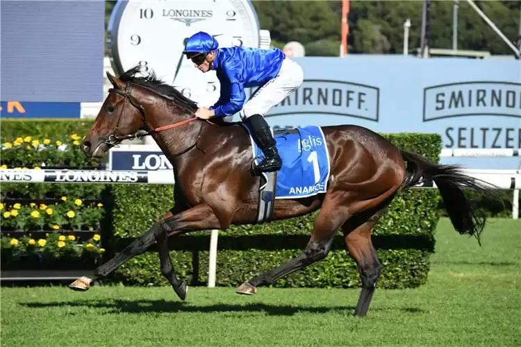 Opinion: Is Anamoe Worthy Of Champion Status? Image