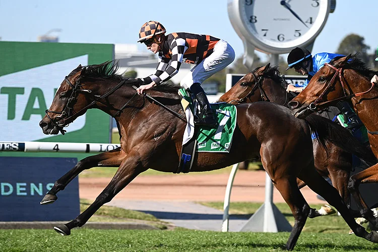 FREE: Randwick Tip Sheet & Staking Plan: Saturday 21st October Image
