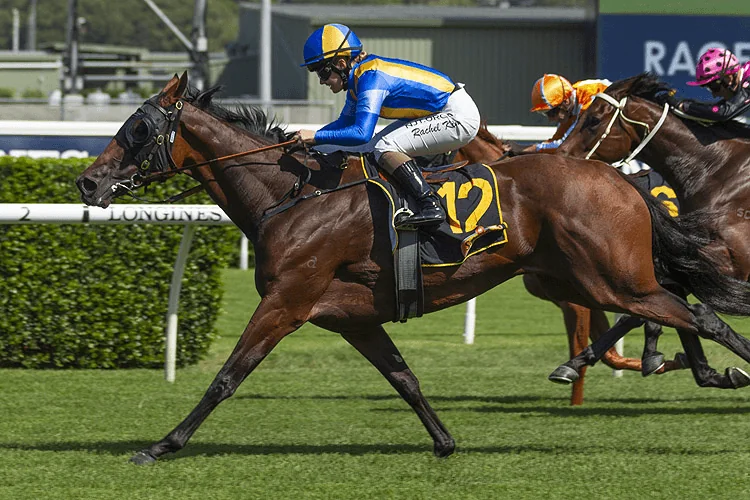 Our BlackBook & Trial Runners: Horses Running Today & Staking Plan 26/9 Image