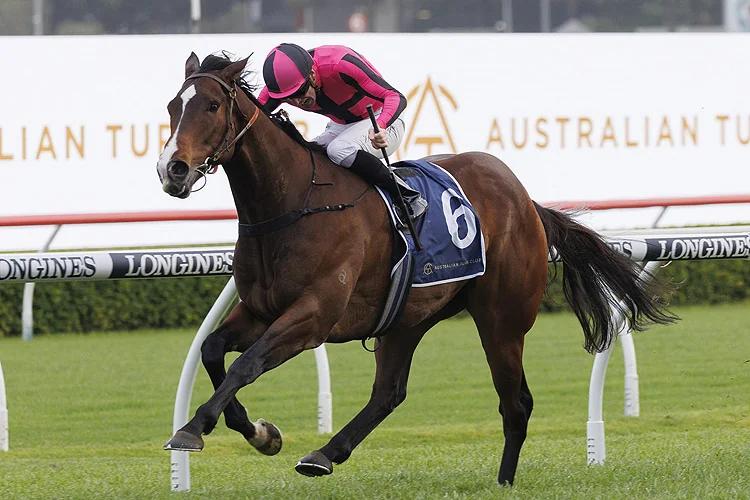 FREE: Randwick Tip Sheet & Staking Plan: Saturday 21st January Image