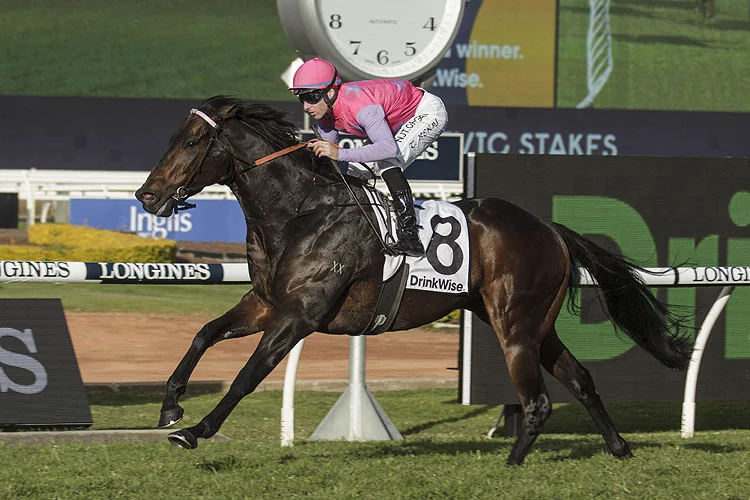 Our BlackBook & Trial Runners: Horses Running Today & Staking Plan 14/11 Image