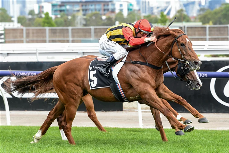 Little hoping for Chester Manifold success Image