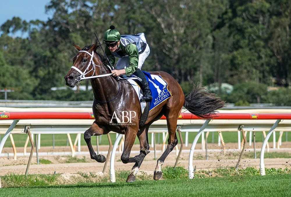 Waller filly shows too much class in Wyong Magic Millions Image