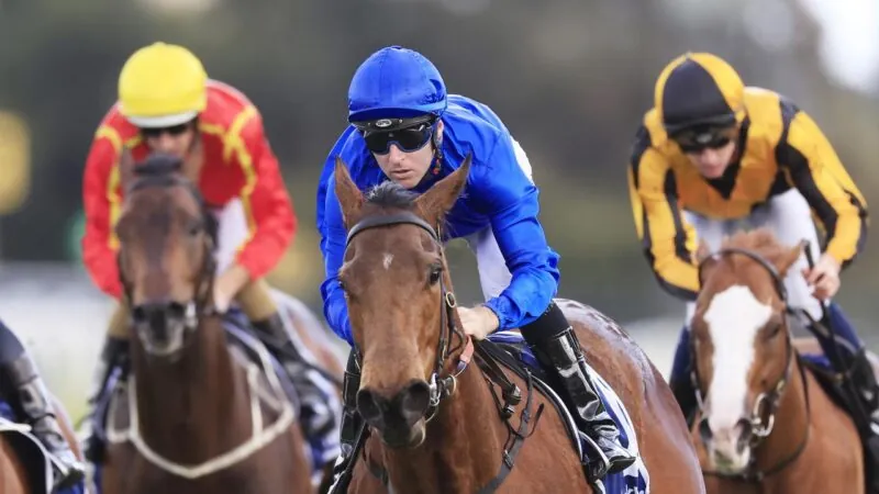 Rosehill Review: A Great Day For The Blue Army Image