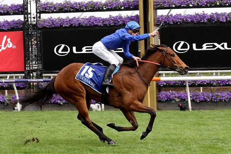 Flemington Preview: It’s No Secret Cummings Filly Is Ready To Win Image