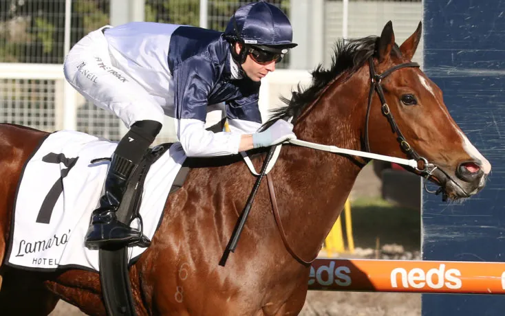 Moonee Valley Preview: Price Wary On Sprinter Image