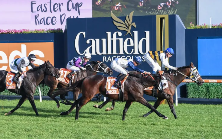 Caulfield Tip Sheet & Staking Plan: Saturday 30th January Image