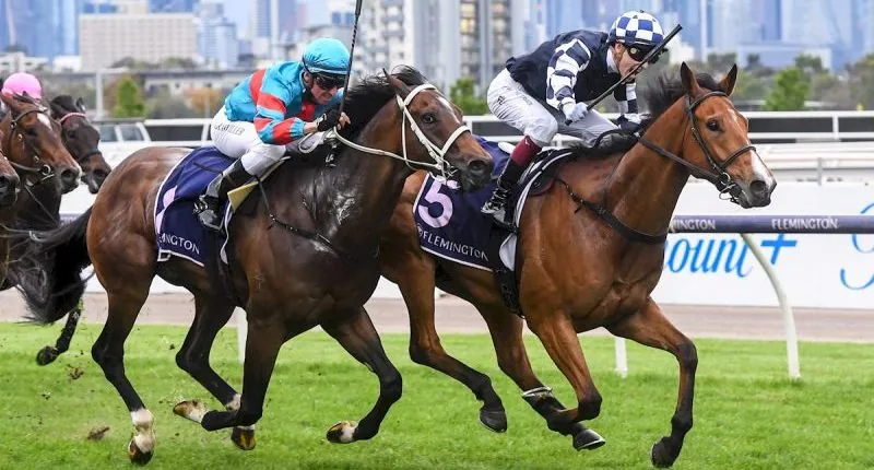 FREE: Flemington Tip Sheet & Staking Plan: Saturday 4th November Image