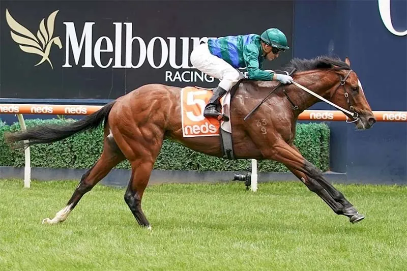 Sandown Preview: Price Leans To Jacquinot Image