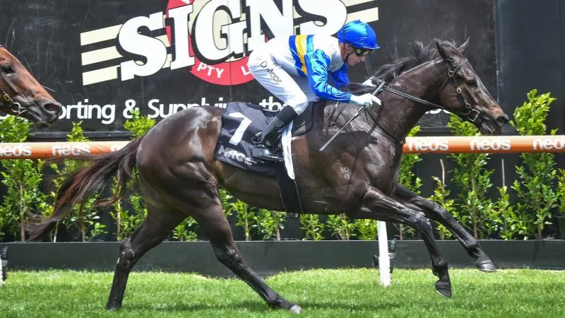 Moonee Valley: Mouth Watering Clash Of Summer Stars Image