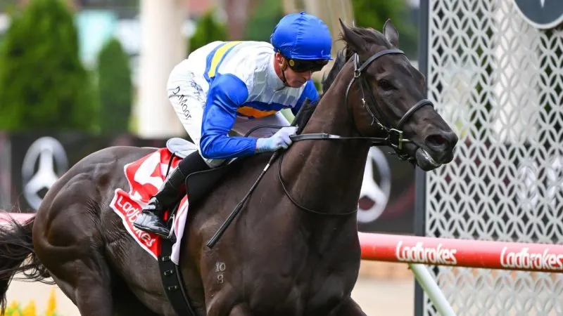 Moonee Valley Review: No Puzzle As Jigsaw’s A Star Image