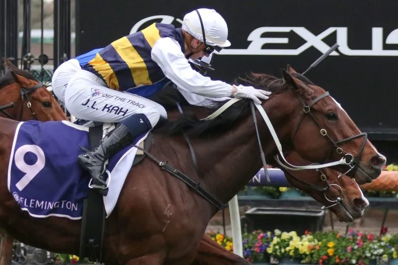 Mornington Preview: It’s A Cracker Of A Cup Image