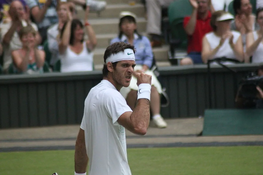 Juan Martin Del Potro retirement seems imminent Image