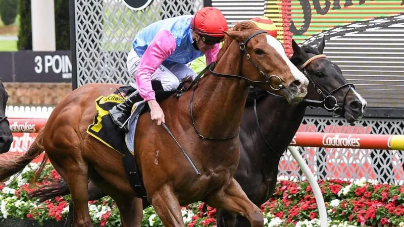 Kembla Preview: VIC Visitor Hoping To Take The Gong Image
