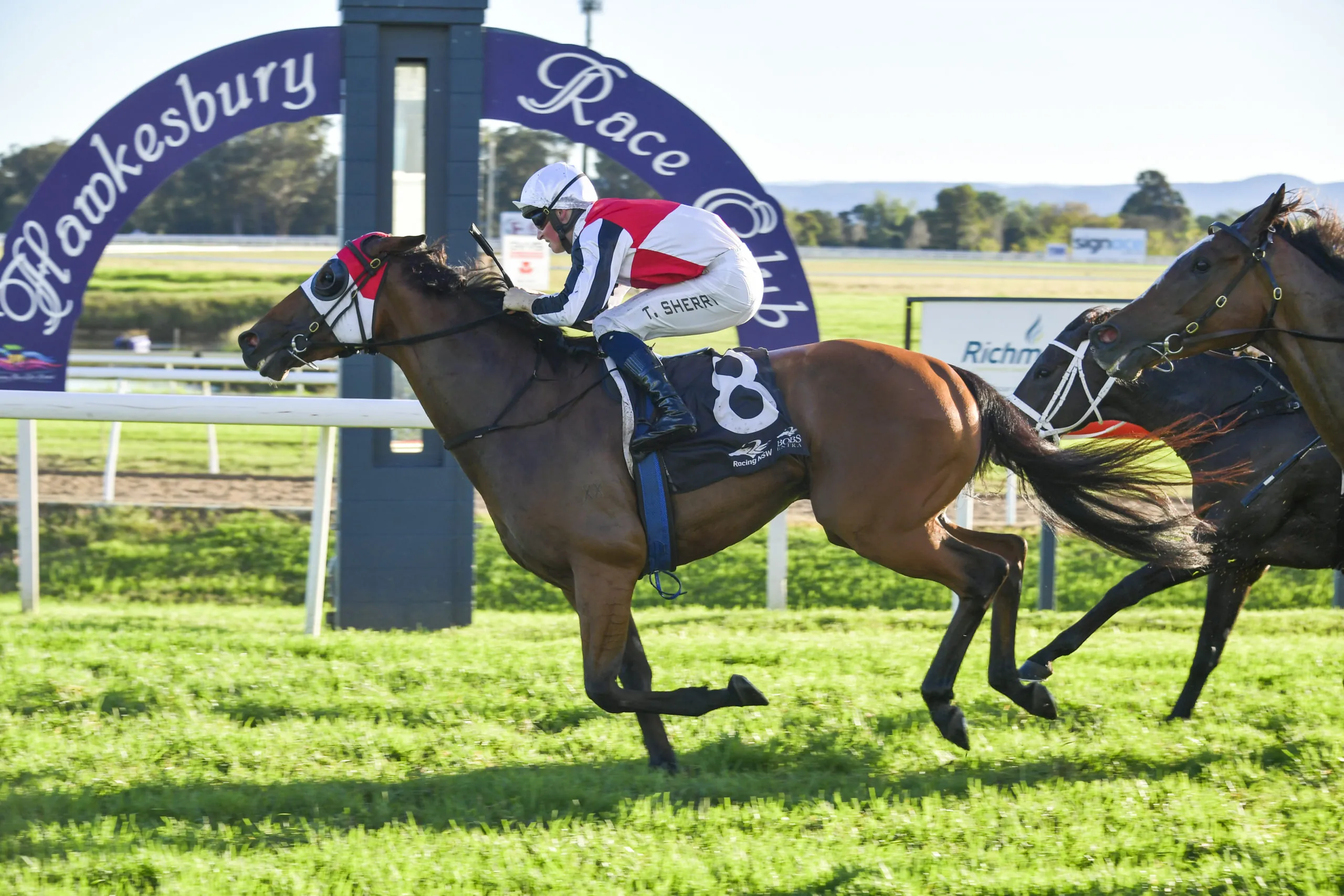 FREE: Hawkesbury Tip Sheet & Staking Plan: Saturday 21st April Image