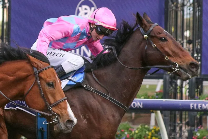 Randwick Preview: Elvis Ready To Break Hoodoo Image