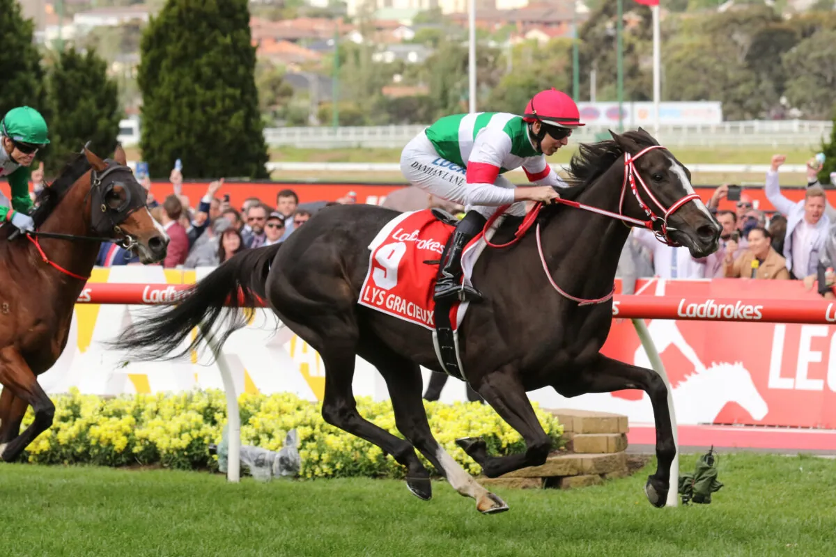 FREE: Moonee Valley Tip Sheet & Staking Plan: Saturday 22nd October Image