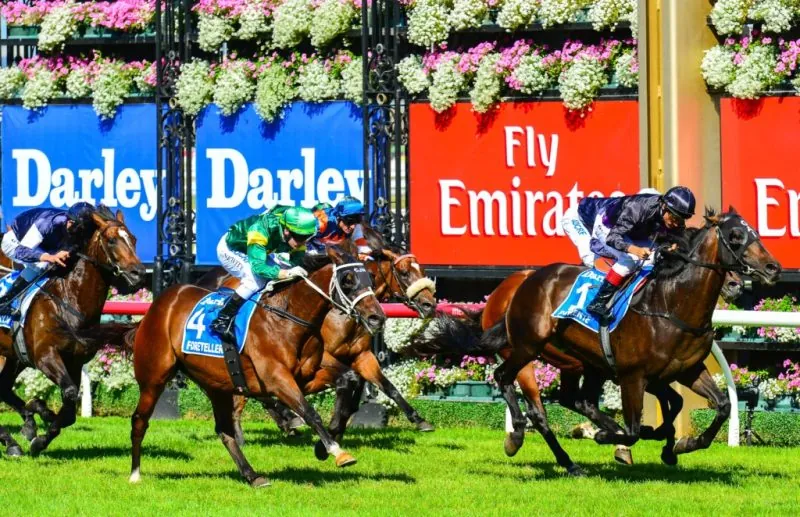 FREE: Flemington Tip Sheet & Staking Plan: Saturday 14th September Image