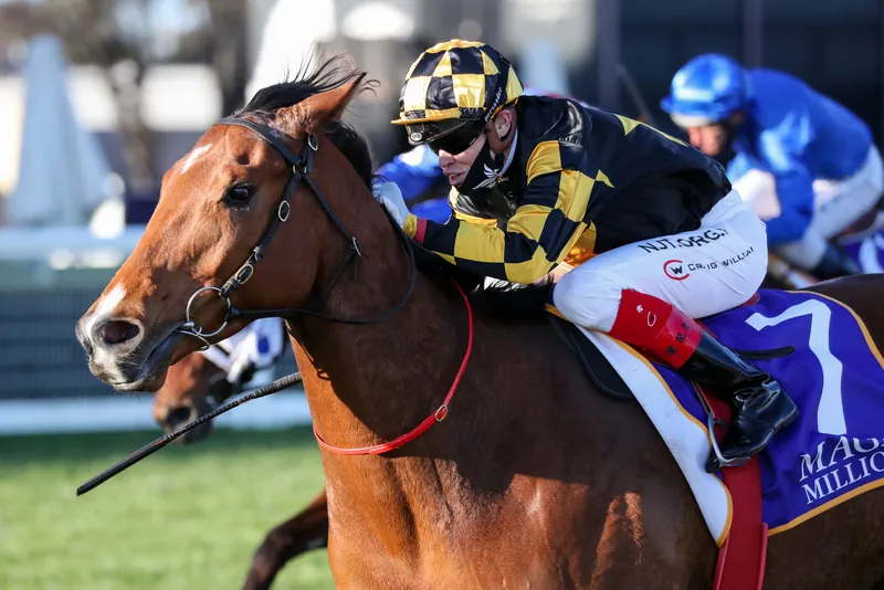 Path towards All-Star Mile set for Behemoth  Image
