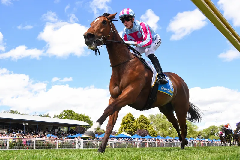 TRAINERS WARY ON BALLARAT RAIN Image
