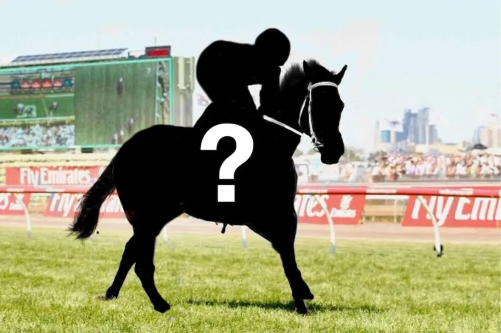 The Plunge’s Black Book: Horses Running At Muswellbrook 5/1 Image