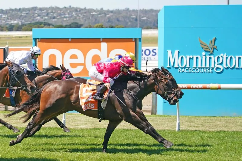 FREE: Mornington Tip Sheet & Staking Plan: Saturday 24th September Image