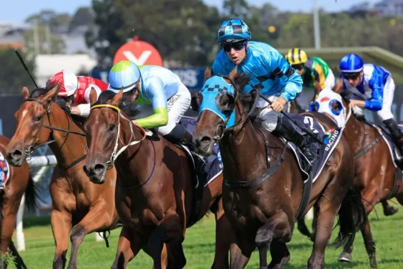 Rosehill Tip Sheet & Staking Plan: Saturday 26th June Image