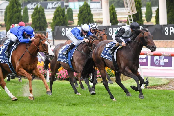 FREE: Moonee Valley Tip Sheet & Staking Plan: Saturday 30th December Image
