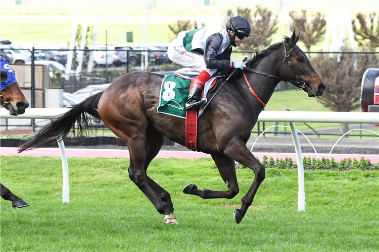 The Valley Preview: Hayes Bright Over Star Galloper’s Chances Image