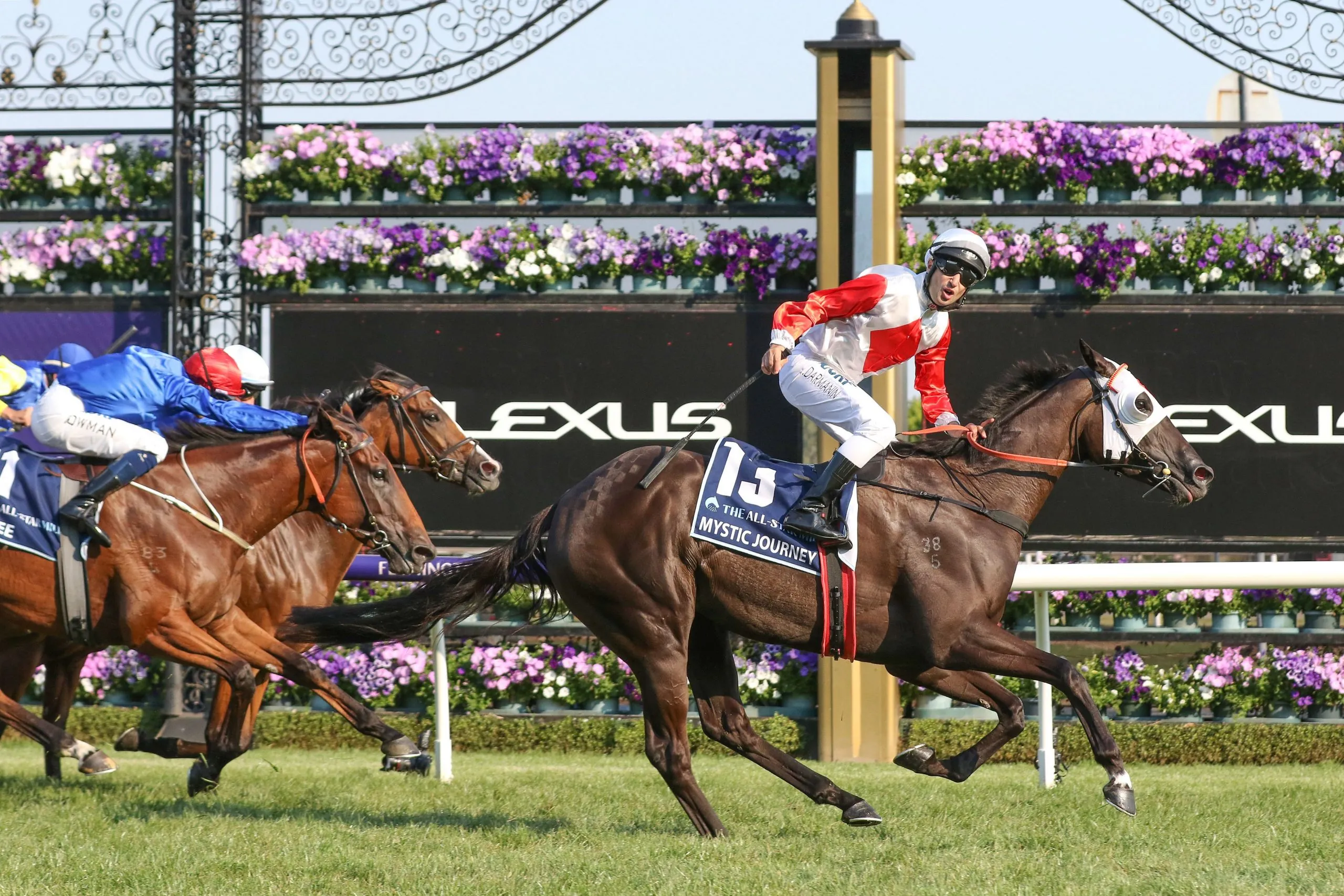 Flemington Tip Sheet & Staking Plan : Saturday 11th September Image