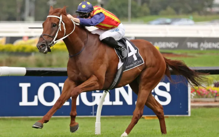 Randwick Tip Sheet & Staking Plan: Saturday 5th September Image
