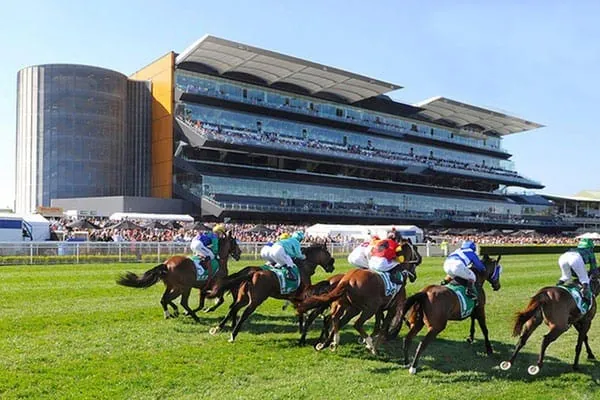 Randwick Tip Sheet & Staking Plan: Saturday 18th December Image