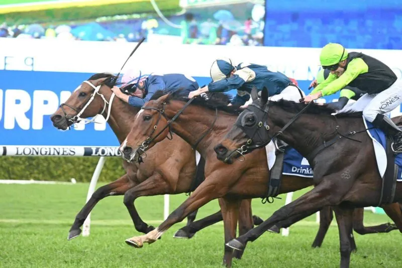 2022 Metropolitan Review: What The Jockeys Said Image