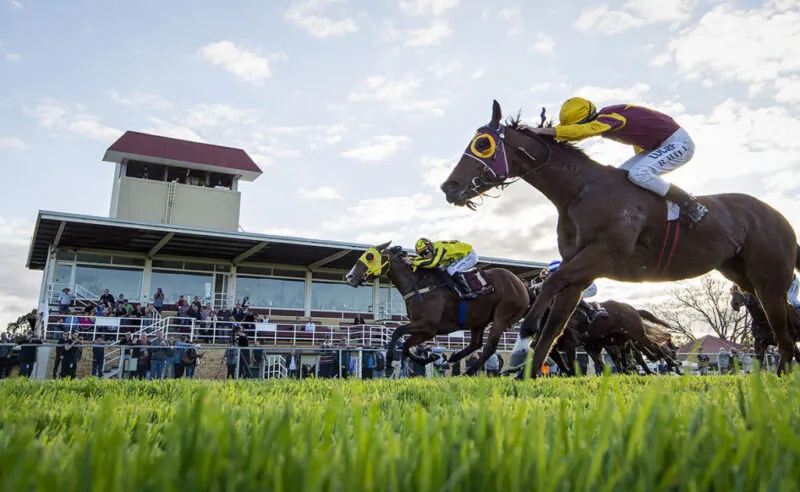 Northam Selections & Staking Plan: Thursday 15th July Image