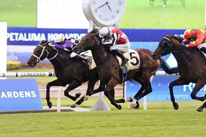 WALLER WANTS ANOTHER GONG Image