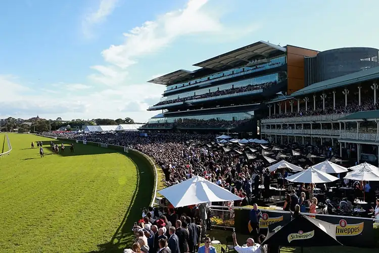 FREE: Randwick Tip Sheet & Staking Plan: Saturday 10th December Image