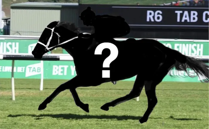 The Plunge’s Black Book: Horses Running At Randwick and Eagle Farm  12-6 Image