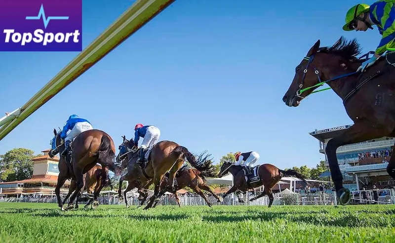 TopSport’s Top 5 Market Movers For This Saturday Image