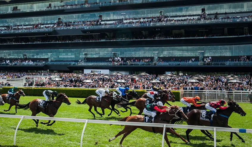 The Plunge’s Saturday Review: Horses You Must Follow From Randwick 2/1 Image