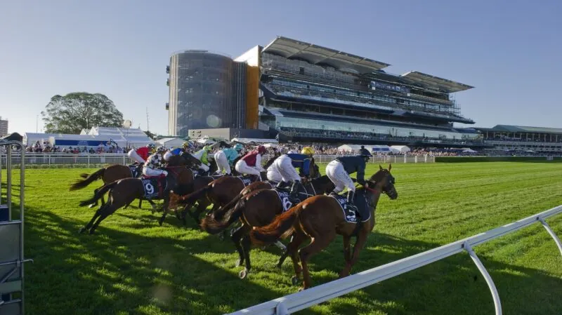 The Plunge’s Saturday Review: Horses You Must Follow From Randwick 9/1 Image