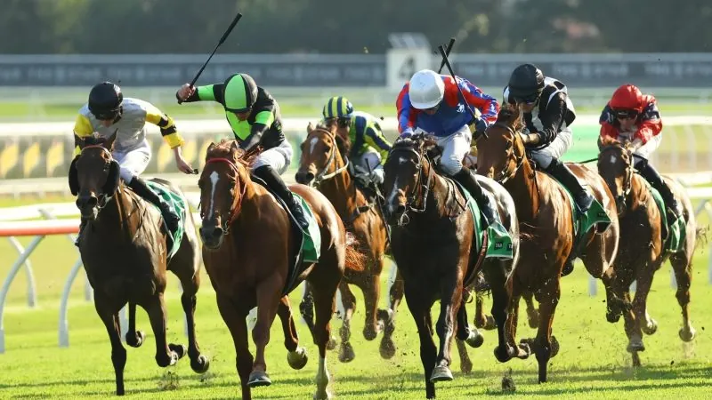 Our Black Book: Horses You Must Follow From Randwick 8/2 Image