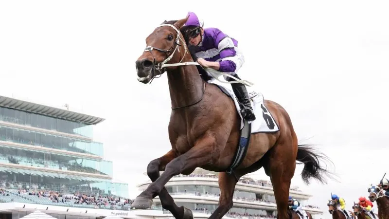 WALLER’S ROCKET READY TO ROLL IN AUSTRALIAN GUINEAS Image